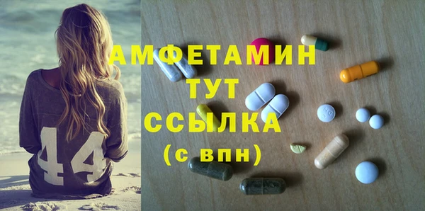 ГАЛЛЮЦИНОГЕННЫЕ ГРИБЫ Алзамай