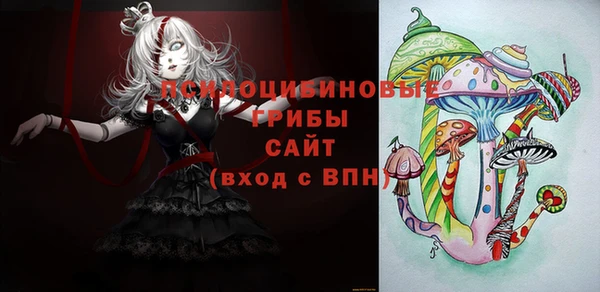 дживик Абаза